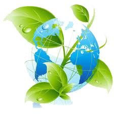 Professional NORI Cleaning