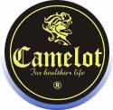 CAMELOT