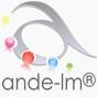 ANDE LM