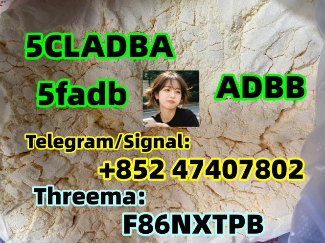 5cladba-5f-adb-adbb-5cl-adb-a-5cladb-reliable-supplier